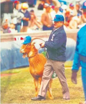  ?? CHICAGOTIM­ES.COM ?? En 1984 Sam Sianis, hijo de Billy, volvió al estadio con un descendien­te de la cabra Murphy.