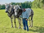  ?? ?? Danny Blumberg takes care of horses on his family’s farm. He is a financial planner in Danbury.