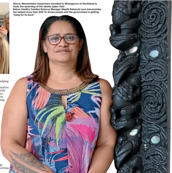  ??  ?? Above: Maramataka researcher­s travelled to Whangaruru in Northland to study the spawning of the takeke (piper fish).
Below: Healthy Families Rotorua Manager Mapihi Raharuhi says maramataka has helped more than 200 Te Arawa people and the government is getting ‘‘bang for its buck’’.