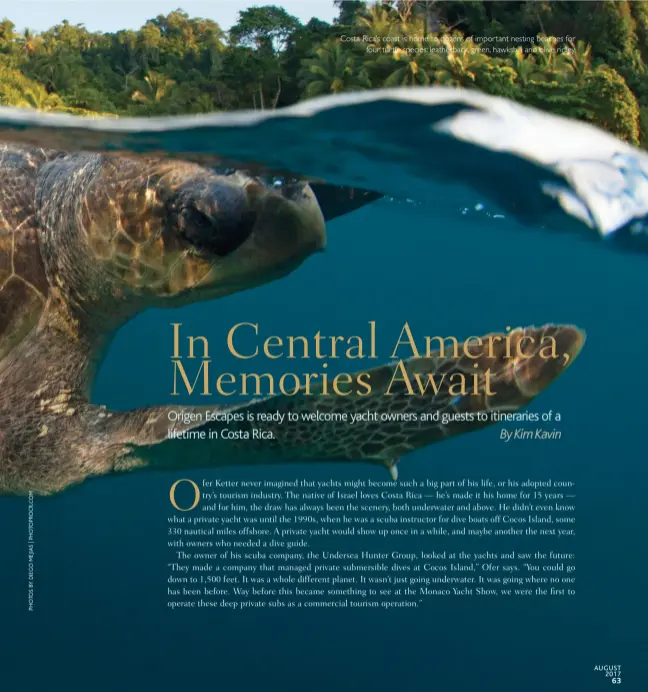  ??  ?? Costa Rica’s coast is home to dozens of important nesting beaches for four turtle species: leatherbac­k, green, hawksbill and olive ridley.