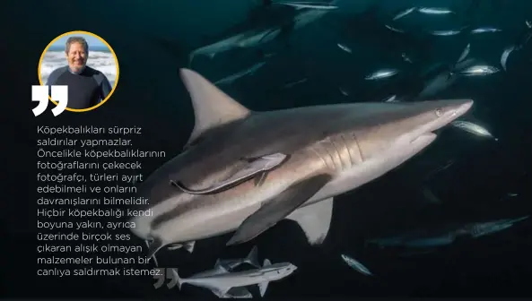 Su Altinda Fotograf Cekmek Pressreader