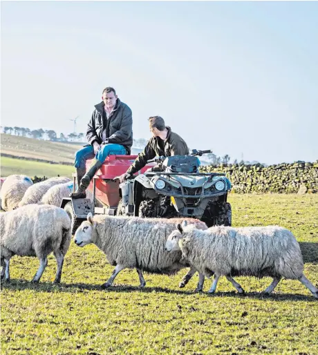  ??  ?? Reunited: Will Greenwood with Doddie Weir on the latter’s Borders farm. (Below left) Greenwood in Five Nations action against Weir’s Scotland in 1998 and Weir himself (right) playing in 1993