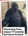  ?? ?? Discerning Tony enjoys TV comedy but turns his back on all news items