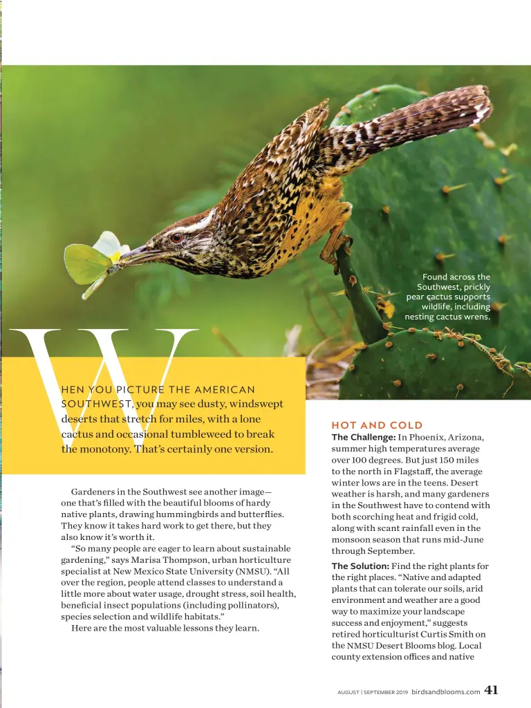  ??  ?? Found across the Southwest, prickly pear cactus supports wildlife, including nesting cactus wrens.