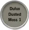  ??  ?? Dulux Dusted Moss 1