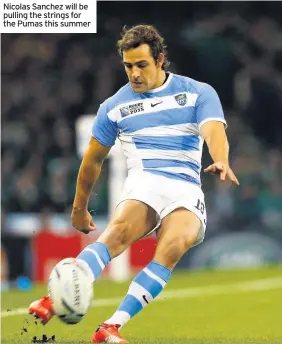  ??  ?? Nicolas Sanchez will be pulling the strings for the Pumas this summer