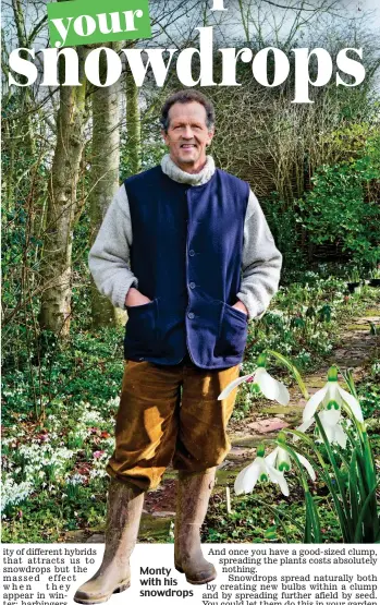  ??  ?? Monty with his snowdrops