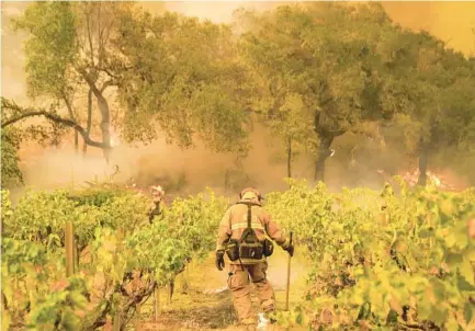  ?? KENT NISHIMURA LOS ANGELES TIMES PHOTOS ?? Firefighte­rs work the Glass fire in Deer Park. Following wildfires in Napa, some vineyard managers are preparing for the worst.