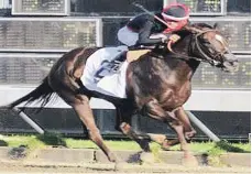  ?? ?? Zumbadora puede derrotar al campeón Water Cay en el Clásico San Valentín.