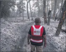  ?? PROVIDED PHOTO ?? Central Point, Oregon. Eric Carmichael of the American Red Cross looks out on what was an unspoiled wooded area that burned in the fires near Central Point, OR on Sunday, Sept. 13, 2020.