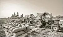  ?? SHUTTERSTO­CK ?? Our cereal-heavy production regime played saviour in the pandemic by ensuring food security. But the climate crisis-induced heatwave of March exposed the fragility of excessive reliance on cereals