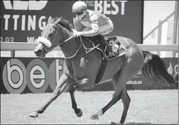  ?? Picture: JC Photos ?? Lyle Hewitson rides SUMMER AFTERNOON for Sean Tarry in the seventh at Turffontei­n tomorrow.