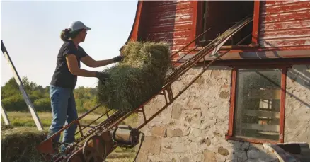  ??  ?? A hay elevator makes it much easier to get the hay into a hay loft for storage.