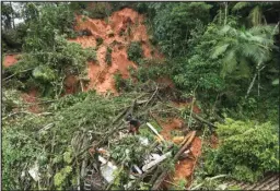  ?? ASSOCIATED PRESS ?? A hillside is exposed after flooding triggered deadly landslides, on Monday, near Juquehy beach in Sao Sebastiao, Brazil.