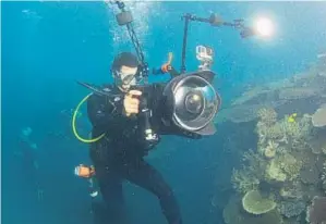  ?? Richard Vevers Netf lix ?? TO GET the footage he needed, Jeff Orlowski logged many hours underwater.