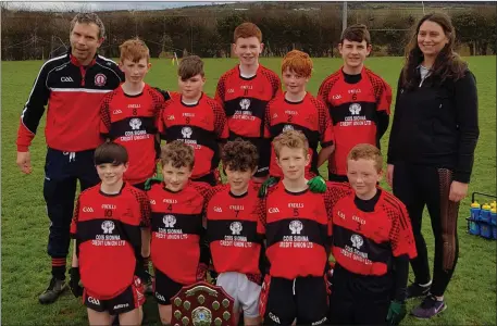  ??  ?? The victorious Tarbert team pictured after their final with Coolard in Duagh