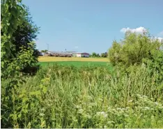  ??  ?? An dieser Stelle zwischen Blindheim und Gremheim führte einst ein Steg über den Ne belbach. Hier treibt ein verblutete­r Reiter sein Unwesen.