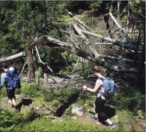  ?? Brian A. Pounds / Hearst Connecticu­t Media file photo ?? Hikers cross a section of Sleeping Giant State Park decimated by a 2018 tornado in the recently reopened park in Hamden in June 2019.