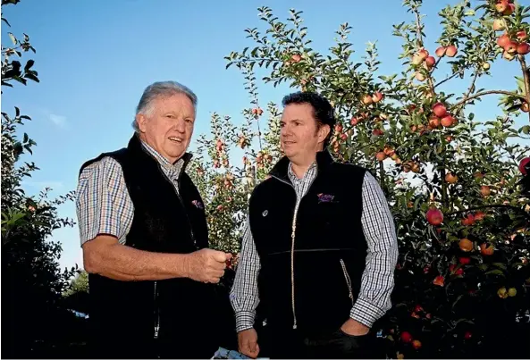  ??  ?? John and Paul Paynter of the Yummy Fruit Company say they will have to get rid of apple trees this winter.