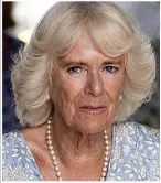  ??  ?? Message to survivors…Camilla