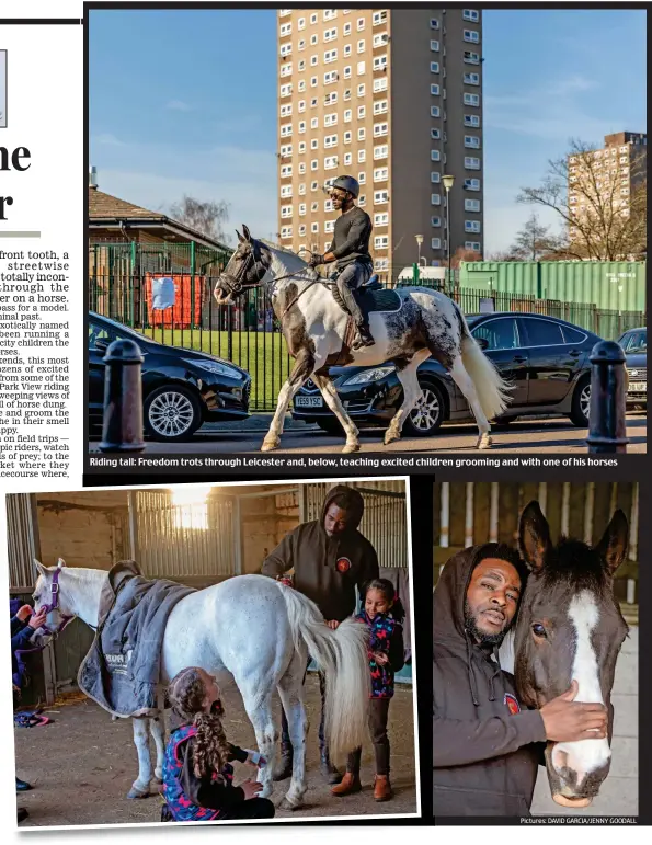  ??  ?? Riding tall: Freedom trots through Leicester and, below, teaching excited children grooming and with one of his horses Pictures: DAVID GARCIA/JENNY GOODALL