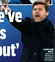  ??  ?? KANE AND ABLE: Spurs are thriving on passion of Pochettino