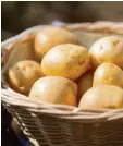  ?? Foto: Andrea Warnecke, dpa ?? Je nach Rezept sollten Hobbyköche festoder mehligkoch­ende Kartoffeln wählen.