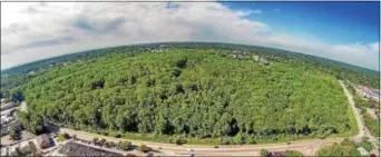  ?? SUBMITTED PHOTO — FALCON PIX ?? An aerial view of the woods on the Don Guanella tract in Marple.