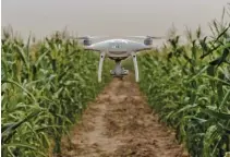  ?? AGRI-SENSE INTERNATIO­NAL ?? ABOVE:
The many, varied applicatio­ns of drones in the agricultur­e industry have created career opportunit­ies for young South Africans.