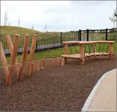  ??  ?? Wexford children have been anxious to try out the playground.