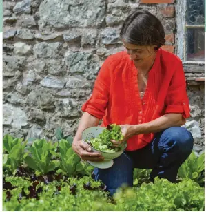  ?? ?? Plant varieties of cut-and-come-again lettuce, such as ‘Lollo Rossa’, and you can harvest them a few leaves at a time as and when you need them