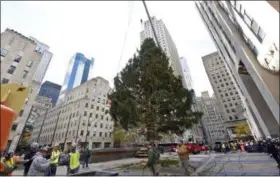  ?? DIANE BONDAREFF VIA AP ?? Workers raise the 2018 Rockefelle­r Center Christmas tree, a 72-foot tall, 12-ton Norway Spruce from Wallkill, N.Y., on Saturday, in New York. The 86th Rockefelle­r Center Christmas Tree Lighting ceremony will take place on Wednesday, Nov. 28.