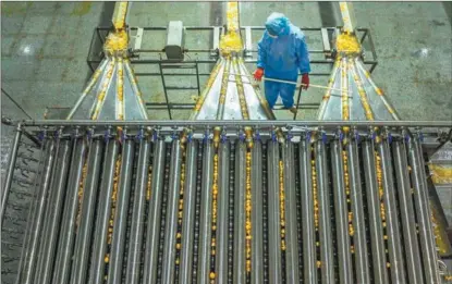  ?? WANG GANG / XINHUA ?? Canned oranges are produced at a factory in Zigui, Hubei province.