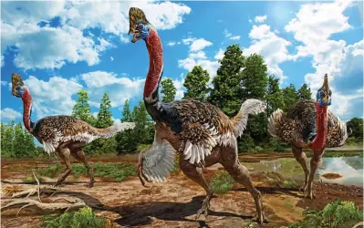  ??  ?? Monster bird: What Corythorap­tor jacobsi may have looked like 100million years ago