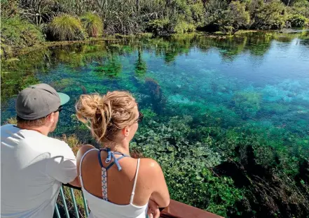  ?? SUPPLIED ?? Te Waikoropup­u Springs is one of the world’s clearest springs, and one of Golden Bay’s most popular tourist attraction­s, but a hearing involving special protection for the springs has been halted.