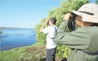  ??  ?? Alegan que en el caño Tiburones se ha manejado inadecuada­mente del sistema de bombas.