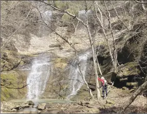  ?? (NWA Democrat-Gazette/Flip Putthoff) ?? Tom Mowry admires High Bank Twin Falls on March 5 along the Mulberry River Road Scenic Byway. The waterfall is a short hike off the highway.