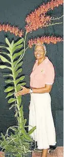  ?? CONTRIBUTE­D ?? Audrey McIntosh, president, Montego Bay Orchid Club.