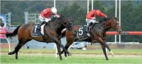  ??  ?? Enzo’s Lad, left, and rider Michael McNab get up to win the Telegraph (1200m) by a small nose from Ferrando.