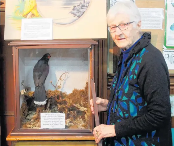  ??  ?? Gallery of History President Nancy Wadsworth with the rim of the box which had to be removed before the female huia could be stolen.