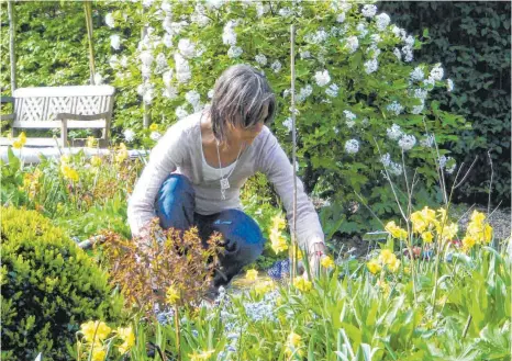  ?? FOTO: BGL ?? Üppige Staudengew­ächse verhindern das Austrockne­n des Bodens.