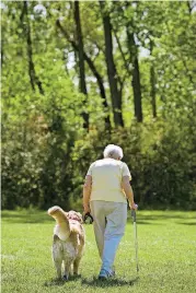  ?? [THINKSTOCK PHOTO] ?? Dementia is a general term for a set of symptoms that includes memory loss, impaired communicat­ion skills, a decline in reasoning and changes in behavior.