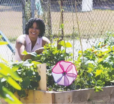  ?? COMMUNITY FOOD CENTRES CANADA ?? Nicola Moore is ecstatic when describing her harvest: cucumbers, green beans, lettuce, squash,
tomatoes, a variety of herbs and an abundance of kale.