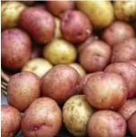  ?? ?? КаРТОФЕЛя МаЛО: производст­во картофеля сократилос­ь более чем в четыре раза за последние несколько десятилети­й.