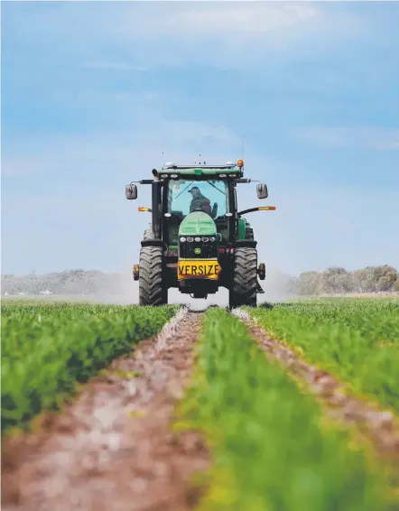  ?? Picture: TARA CROSER ?? Martin McKenzie, 29, spraying a wheat crop with urea and hoping for rain outside Goondiwind­i.