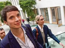  ?? THORSTEN WAGNER/EFE ?? Futuro. Líder do AfD Frauke Petry; partido em transição