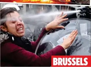  ??  ?? BRUSSELS THe eYe OF THe STORM: A woman is sprayed in the face by riot police