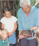 ?? Photo / Supplied ?? Kiwi handler Steve McManus prepares to release the recovered bird while Kaia De Goldi, 9, and Bodyn De Goldi, 3, look on.
