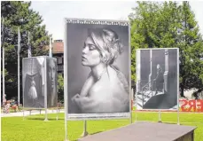  ?? FOTO: REPRO KLAUS SCHMIDT ?? Frauenbild­nis aus dem Zyklus „Grenzenlos“von Konrad Schmidt aus Hamburg.