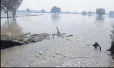  ?? HT PHOTO ?? The inundated fields after a canal breach near Bhamme Kalan village in Mansa on Wednesday